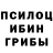 Псилоцибиновые грибы мицелий OxTa Mix
