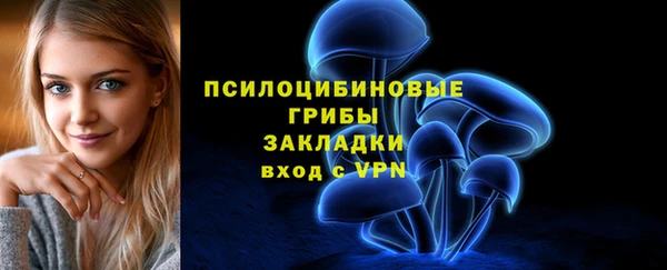 спайс Гусиноозёрск