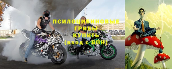 мескалин Гусев